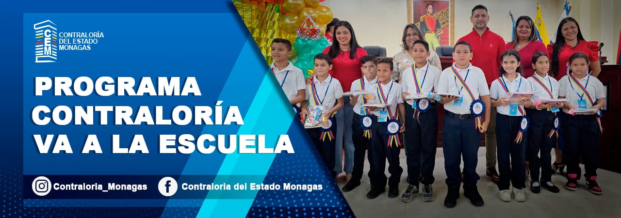 Fiscalización